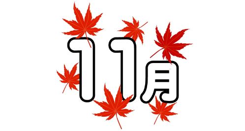 11月