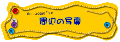 周辺の写真